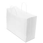 16 x 6 x 12 in. - White Paper Shopping Bags for Takeout