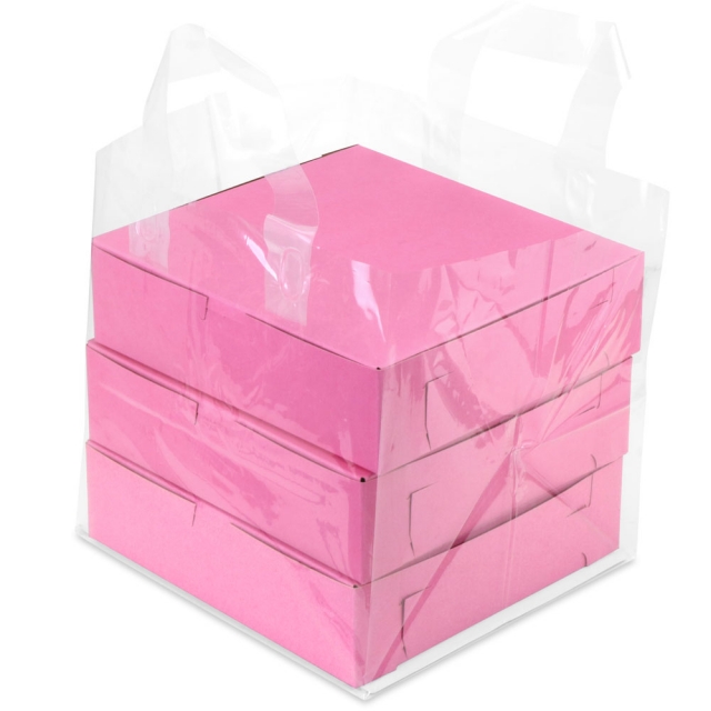 Clear Take Out Bags with Handle 10 x 9 x 10"