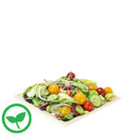 8 in. Deep Designer Square Compostable Plate