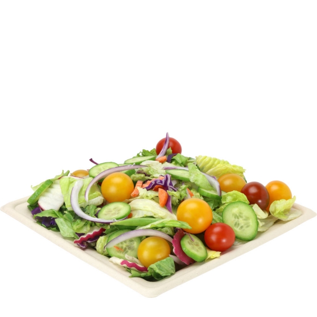 8 in. Deep Designer Square Compostable Plate