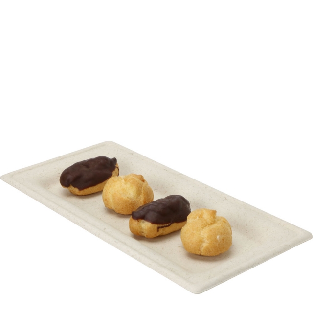 5 x 10 in. Designer Rectangle Compostable Plate