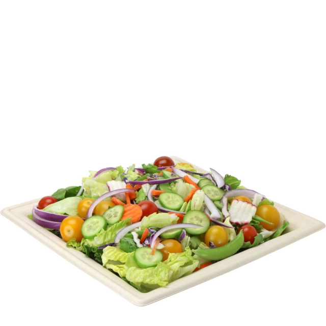 10 in. Deep Designer Square Compostable Plate