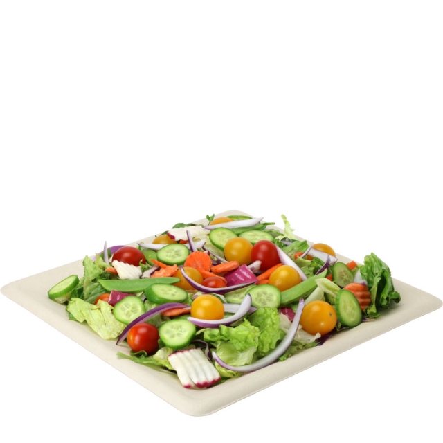 10 in. Designer Square Compostable Plate