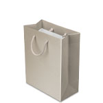 8 x 4 x 10 in. - Champagne Matte Eurotote Paper Shopping Bags