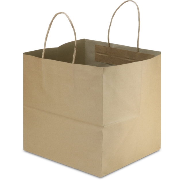 Brown Kraft Twisted Handle Shopping Bag - 10 x 9.85 x 10 in.