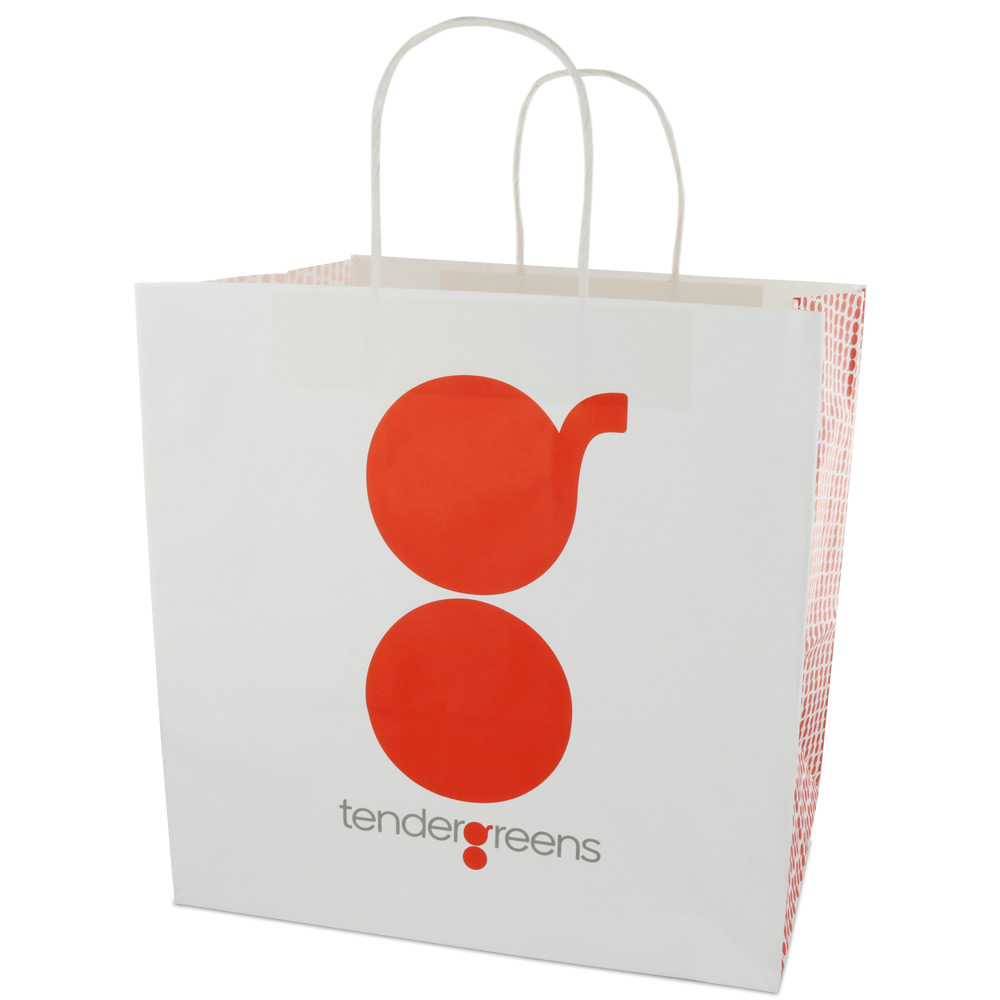 Custom Printed Paper Shopping Bags | Wholesale Custom Shopping Bags ...