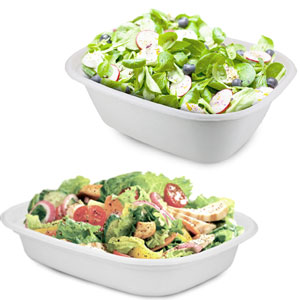 Compostable Takeout Containers In Use