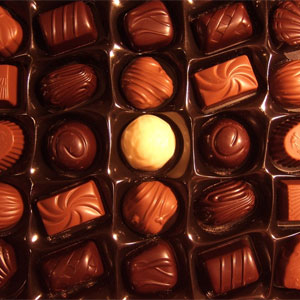 top down view of an insert for chocolates in a chocolate box